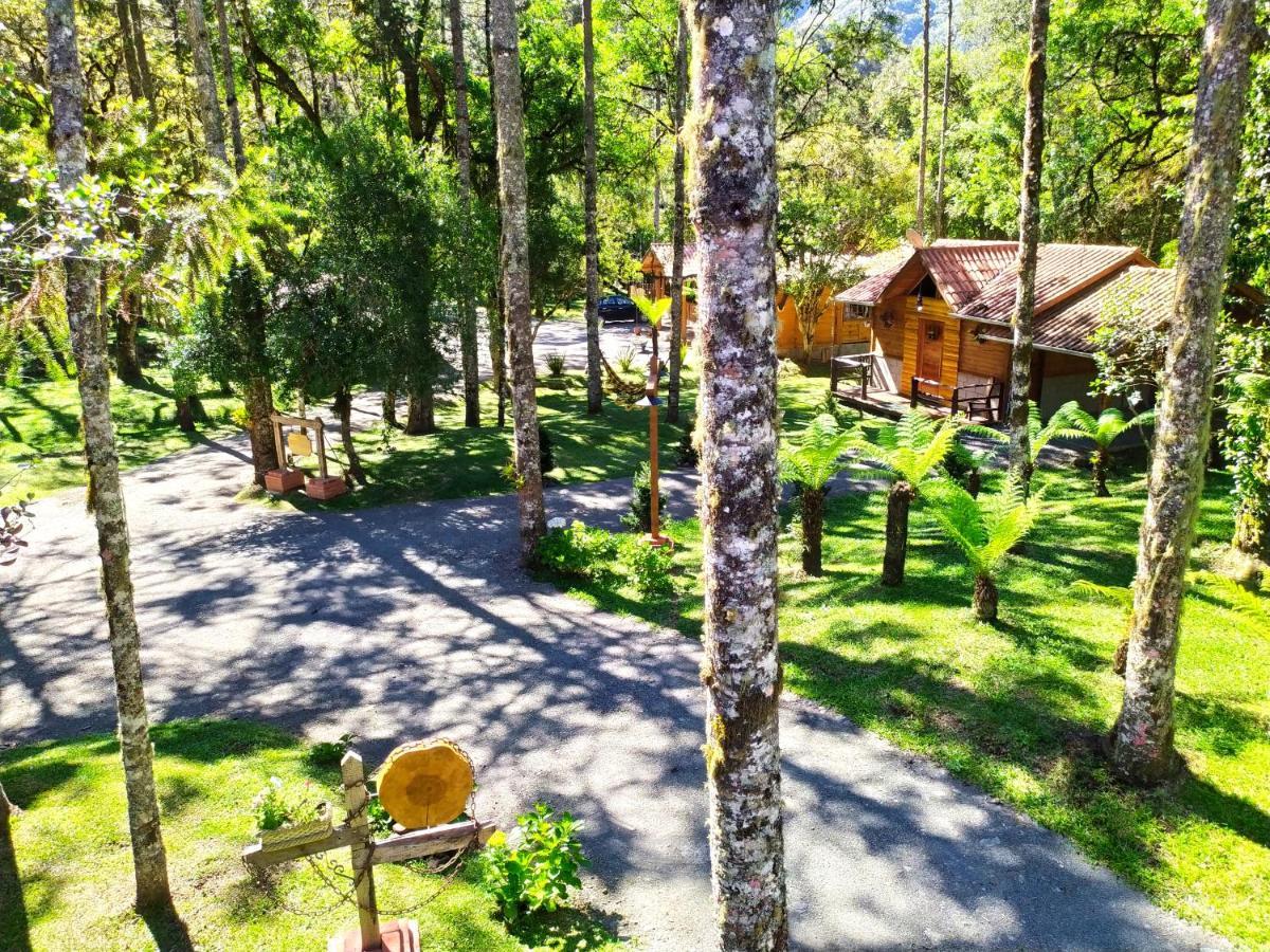 Caminhos Da Natureza