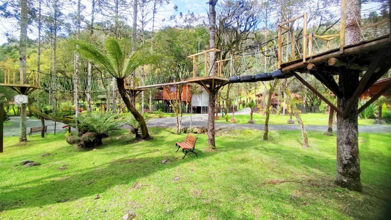 Caminhos Da Natureza