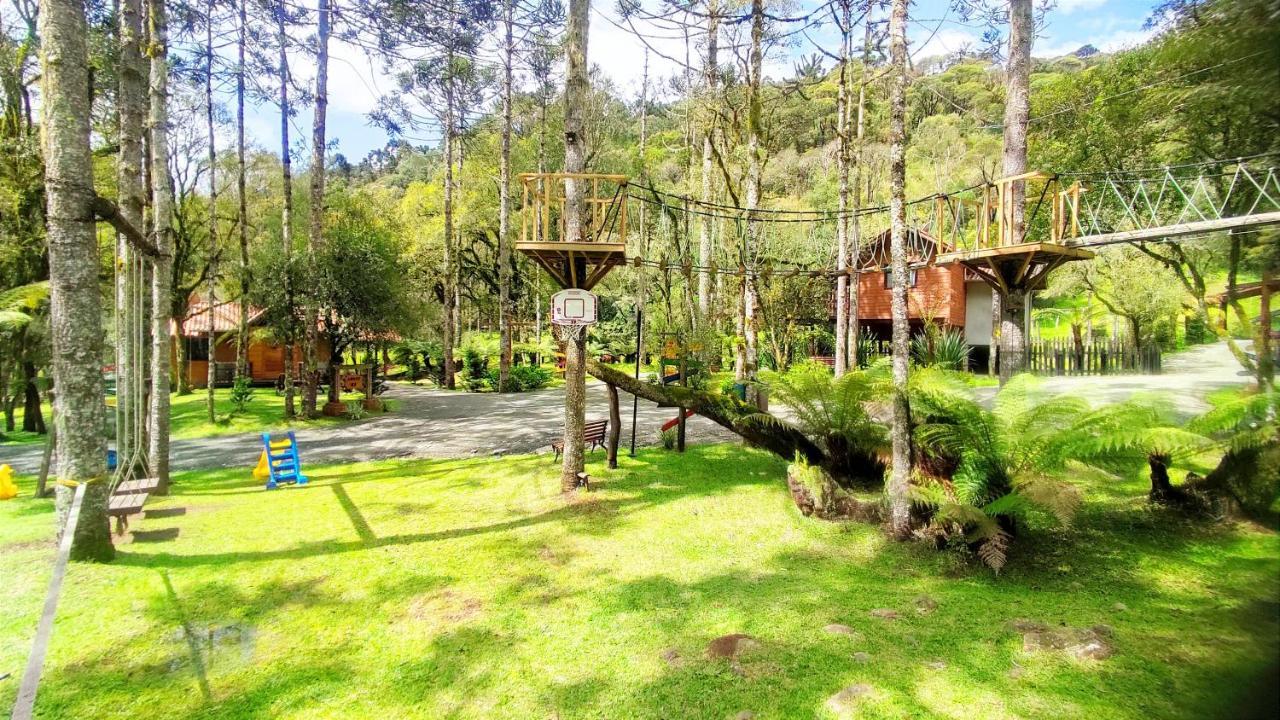 Caminhos Da Natureza *