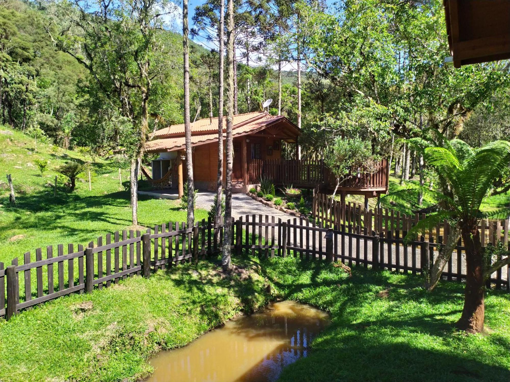 Caminhos Da Natureza *