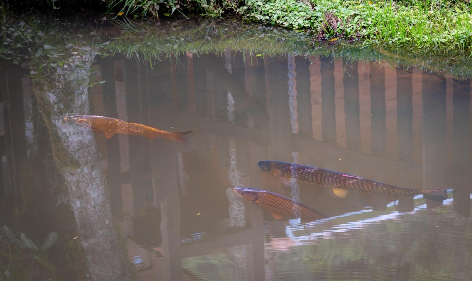 Caminhos Da Natureza
